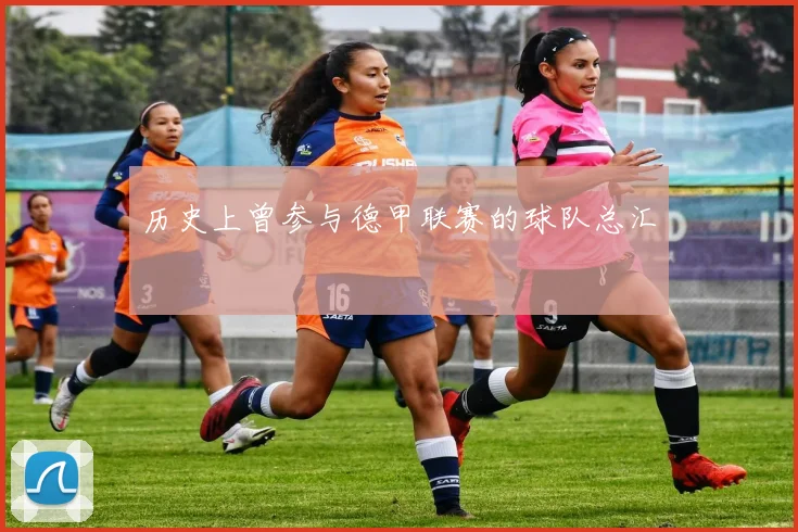 历史上曾参与德甲联赛的球队总汇