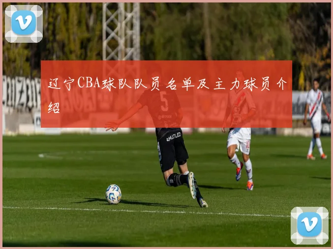 辽宁CBA球队队员名单及主力球员介绍