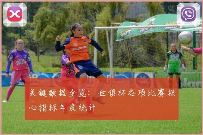 关键数据全览：世俱杯各项比赛核心指标年度统计