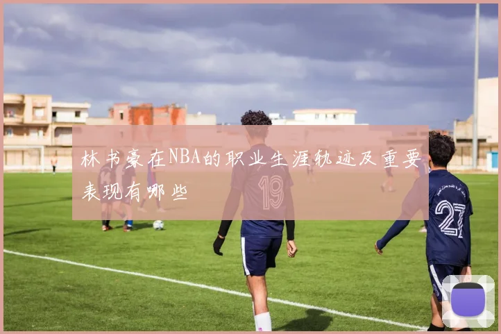 林书豪在NBA的职业生涯轨迹及重要表现有哪些