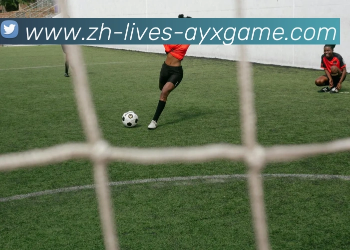 爱游戏平台生态图